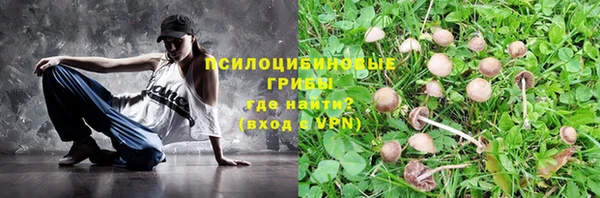 кристаллы Гусев