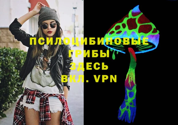 метамфетамин Гусь-Хрустальный