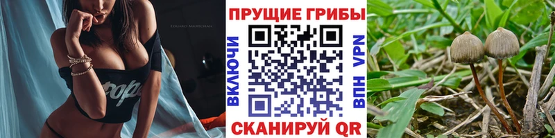 Галлюциногенные грибы мухоморы Спасск-Дальний