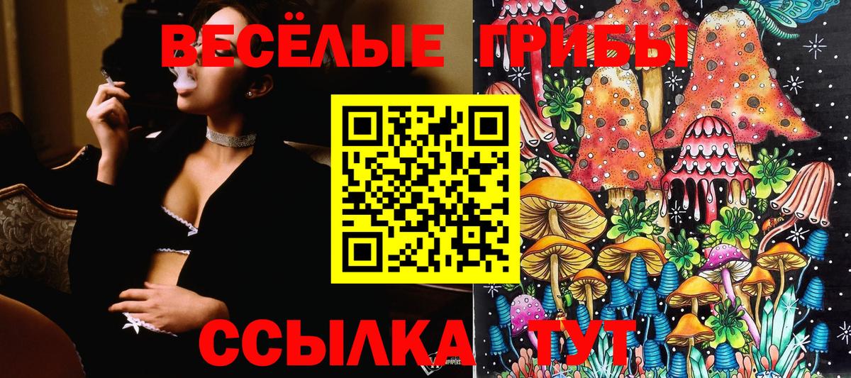 Галлюциногенные грибы прущие грибы  Галлюциногенные грибы Cubensis  где можно купить   Спасск-Дальний 