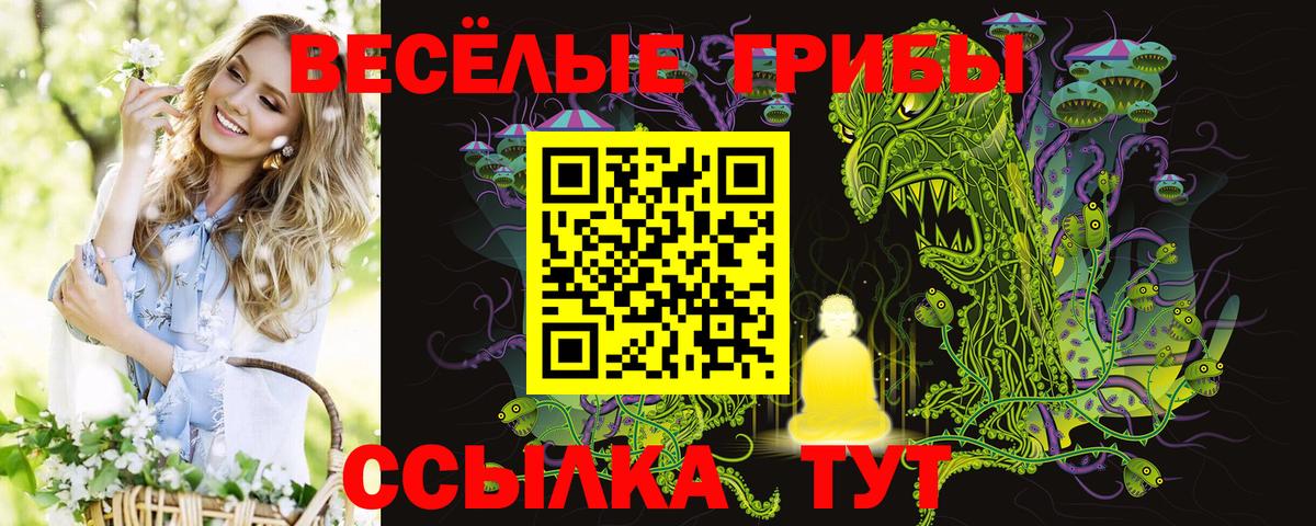 Спасск-Дальний  Галлюциногенные грибы Cubensis  Вход с VPN 